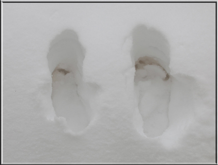 Schnee Füße